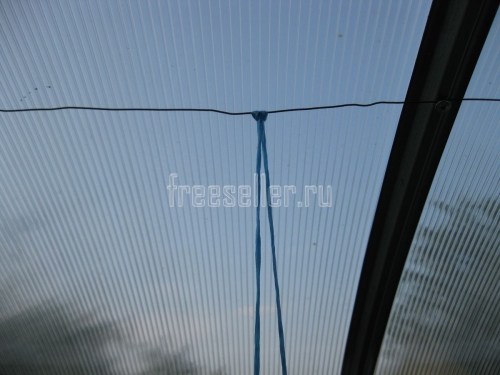 Подвязка огурцов в теплице