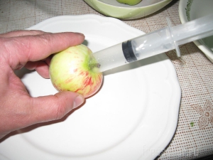 Устройства для чистки яблок и крыжовника из медицинских шприцов