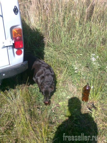 Походная пластиковая бутылка со стаканчиком для питьевой воды