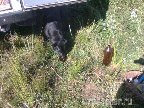 Походная пластиковая бутылка со стаканчиком для питьевой воды