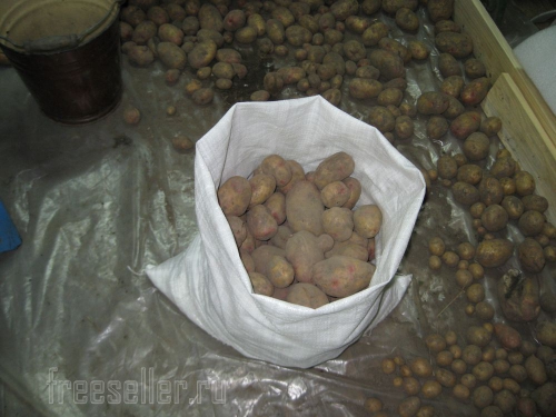 Как в одиночку насыпать картошку в мешок