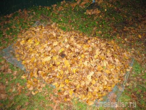 Устройство для переноски опавших листьев своими руками