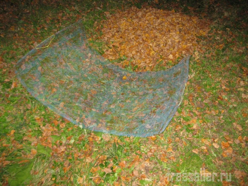 Устройство для переноски опавших листьев своими руками