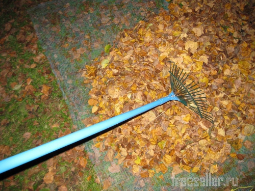 Устройство для переноски опавших листьев своими руками