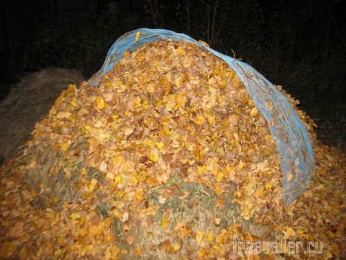 Устройство для переноски опавших листьев своими руками