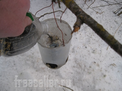 Удобная бутылка для насыпания корма мелким птицам