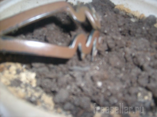 Рыхлитель для комнатных цветов своими руками