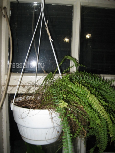 Как быстро починить подвес цветочного горшка