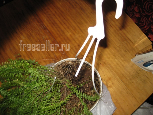 Как быстро починить подвес цветочного горшка