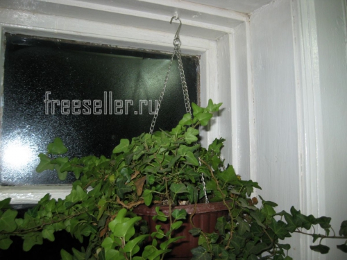 Как быстро починить подвес цветочного горшка