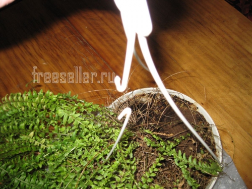 Как быстро починить подвес цветочного горшка