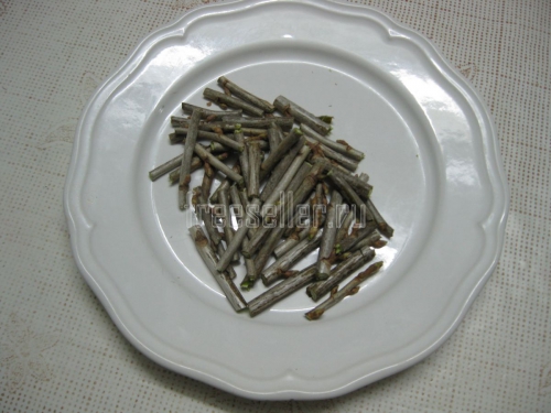 Приготовление витаминного напитка из веточек черной смородины