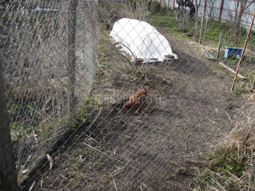 Проволочные застежки для сетки Рабица