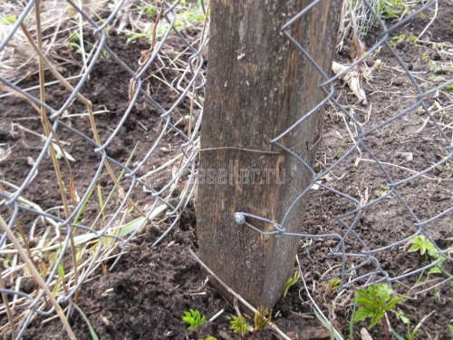 Проволочные застежки для сетки Рабица