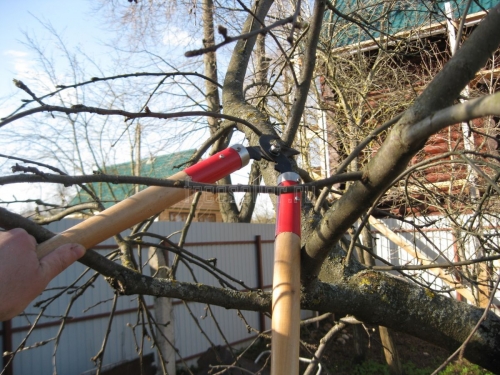 Очень простая, но полезная доработка сучкореза