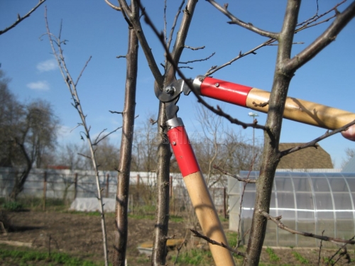 Очень простая, но полезная доработка сучкореза