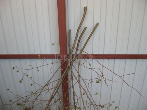 Простая самодельная штанга с ножовкой для обрезки веток