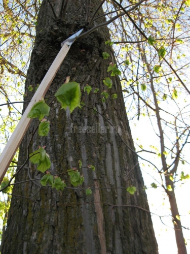 Простая самодельная штанга с ножовкой для обрезки веток