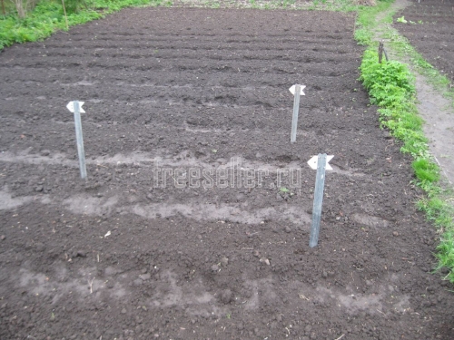 Самодельные колышки-указатели для огородных посадок