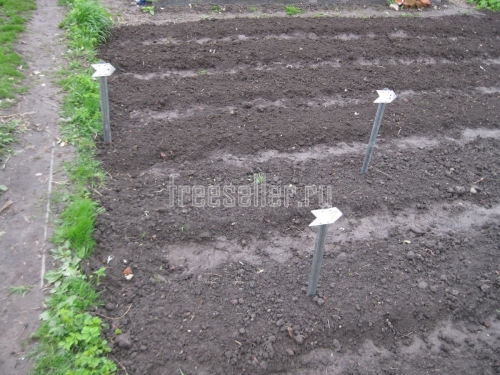 Самодельные колышки-указатели для огородных посадок