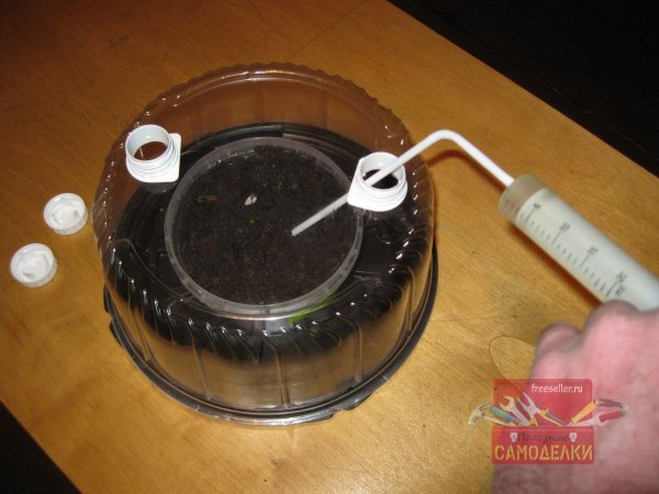 Мини парник для рассады из коробки от торта