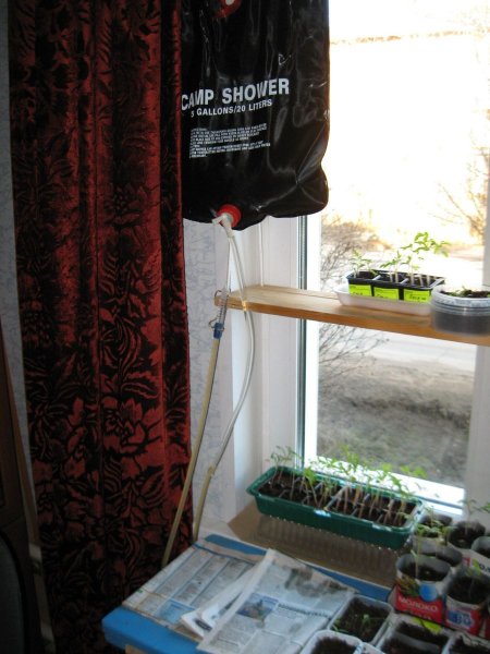 Самодельное устройство для полива рассады из летнего душа