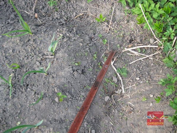 Как вытащить из земли деревЯнные колышки весной