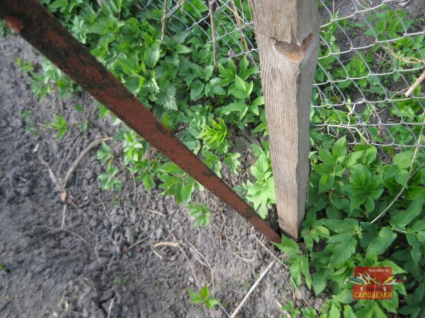 Как вытащить из земли деревЯнные колышки весной