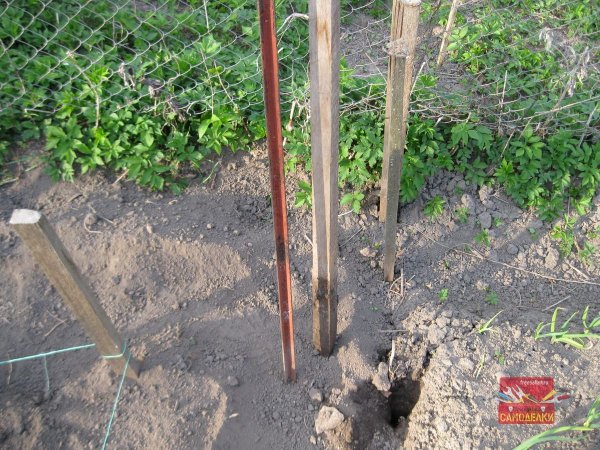 Как вытащить из земли деревЯнные колышки весной