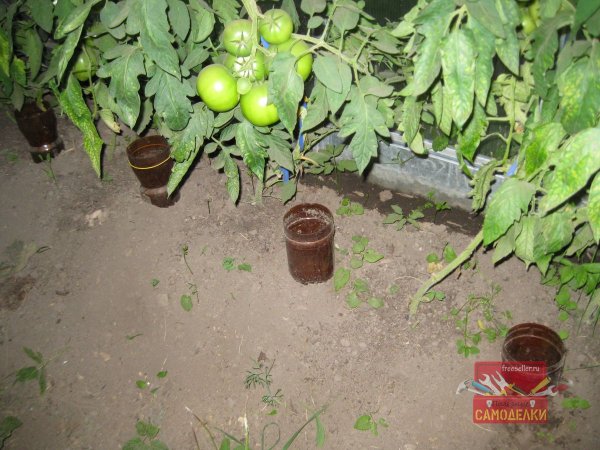 Метки из канцелярских резинок для полива