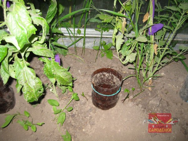 Метки из канцелярских резинок для полива