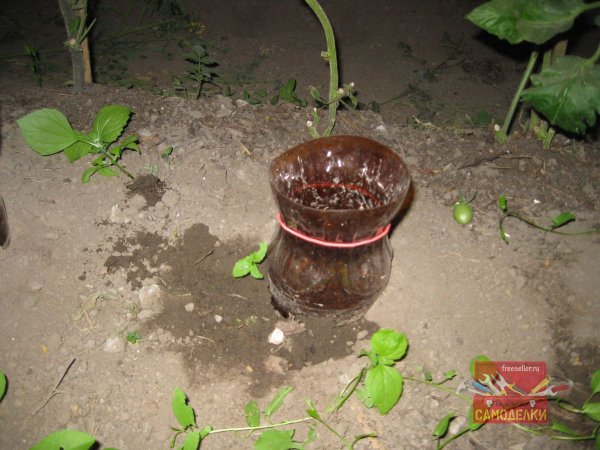 Метки из канцелярских резинок для полива