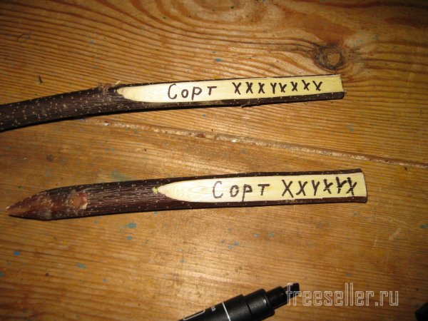 Колышки бирки своими руками. Маркировка сортов растения