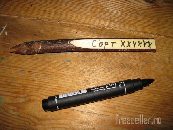 Колышки бирки своими руками. Маркировка сортов