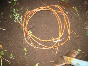 Заготовка виноградной лозы для весенней посадки