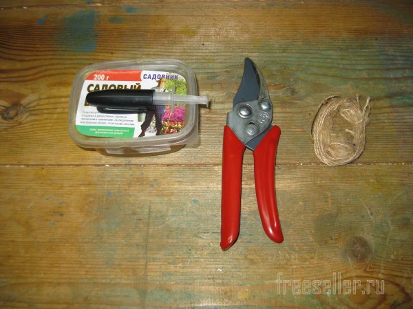 Инструмент для заготовки виноградных лоз