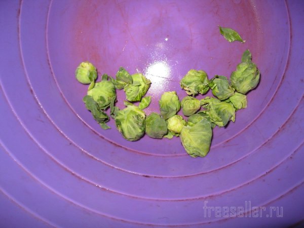 Брюссельская капуста