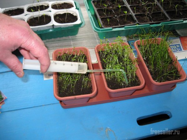 Простое и полезное приспособление из одноразового медицинского шприца