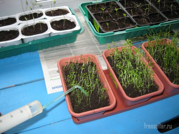 Простое и полезное приспособление из одноразового медицинского шприца