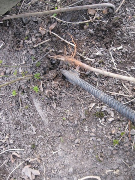 инструмент для перерубания корней и поросли из рессоры