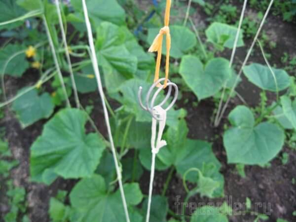 Кольца из проволоки для соединения садовой шпалеры