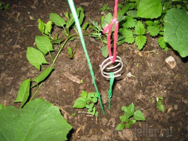 Кольца из проволоки для соединения садовой шпалеры