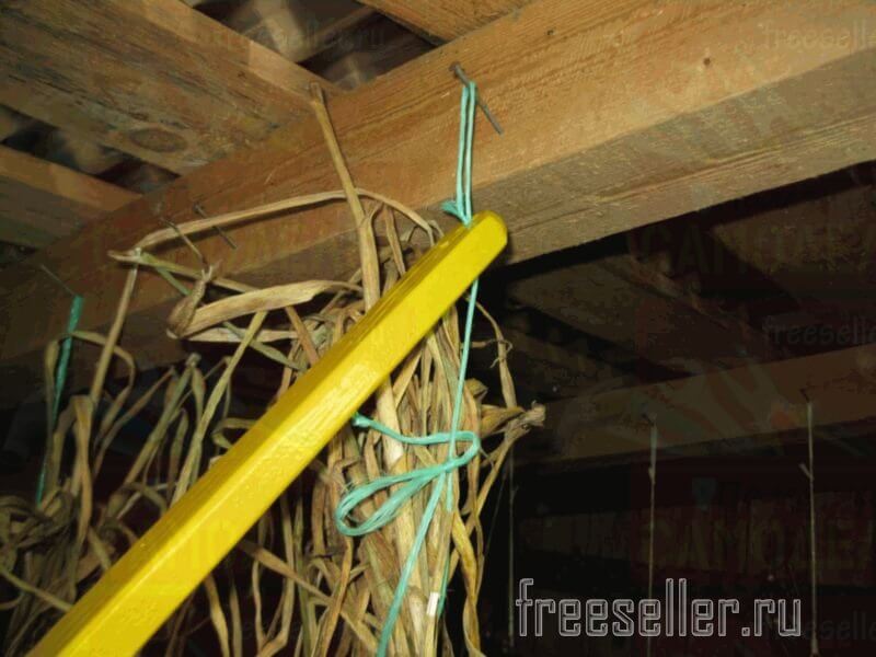 Подвешивание чеснока для сушки быстро и просто