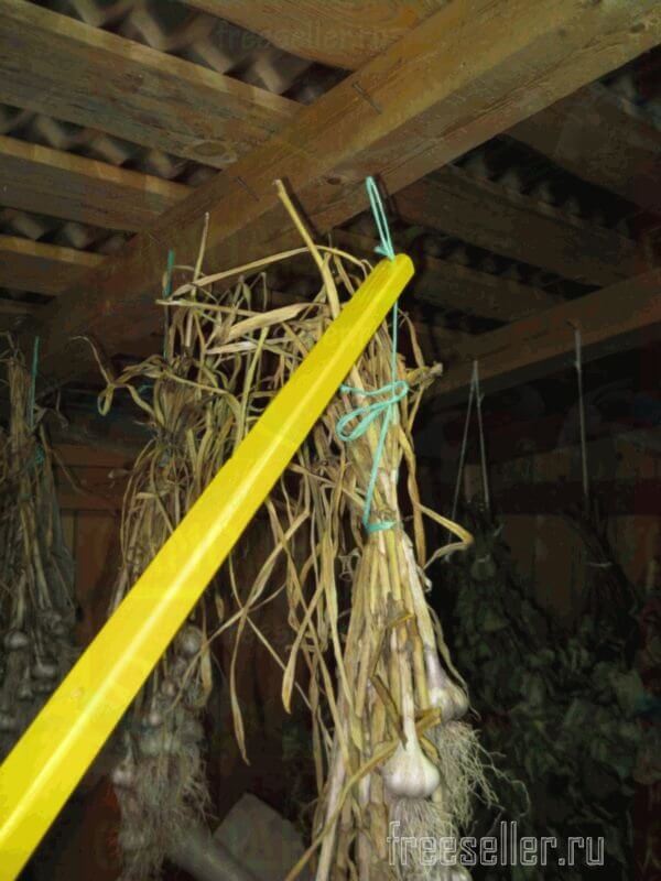 Подвешивание чеснока для сушки быстро и просто