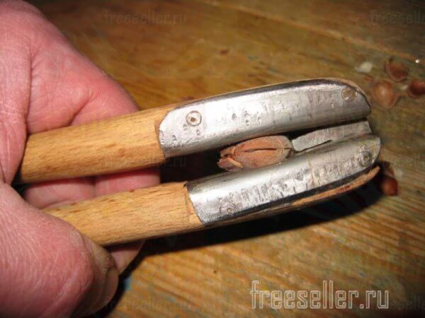 Самодельные компактные щипцы для мелких орехов