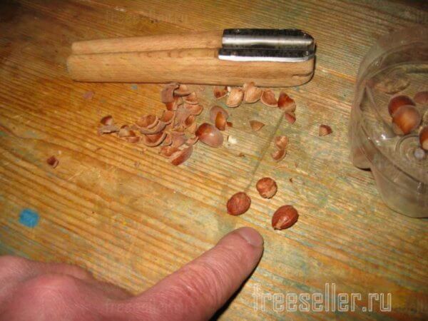 Самодельные компактные щипцы для мелких орехов