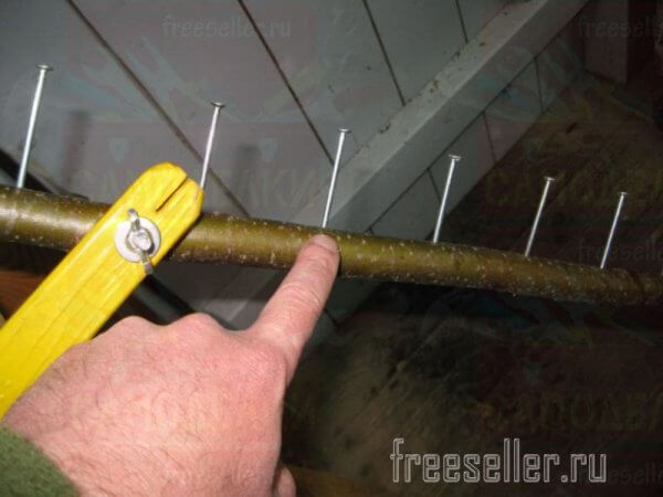 Экспериментальные грабли для сбора сена и опавших листьев