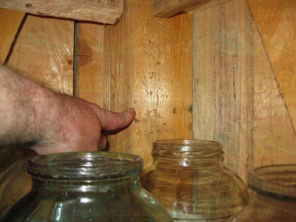 Вместительный самодельный стеллаж для сарая