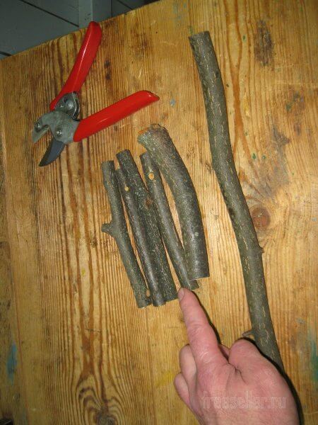 Измельчитель срезанных садовых веток в одну собачью силу