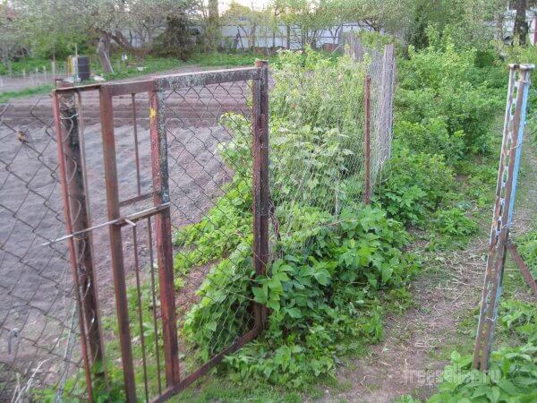 Самоделки для дачи. Удобная калитка.